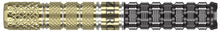 Load image into Gallery viewer, Reyn Agcaoili - BLACK MARQUE REYN 90% 17.5G 2BA SOFT TIP DARTS