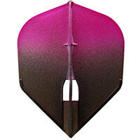 Load image into Gallery viewer, L-style L3 PRO Shape 2-Tone Champagne Black with Pink Dart Flights